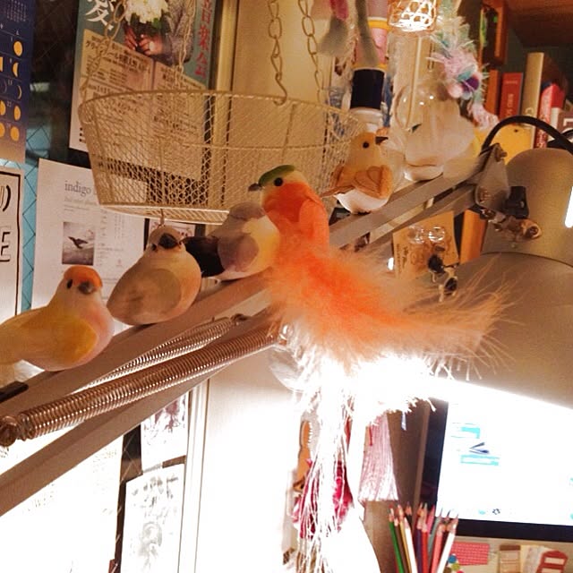 kinoko8oさんの実例写真