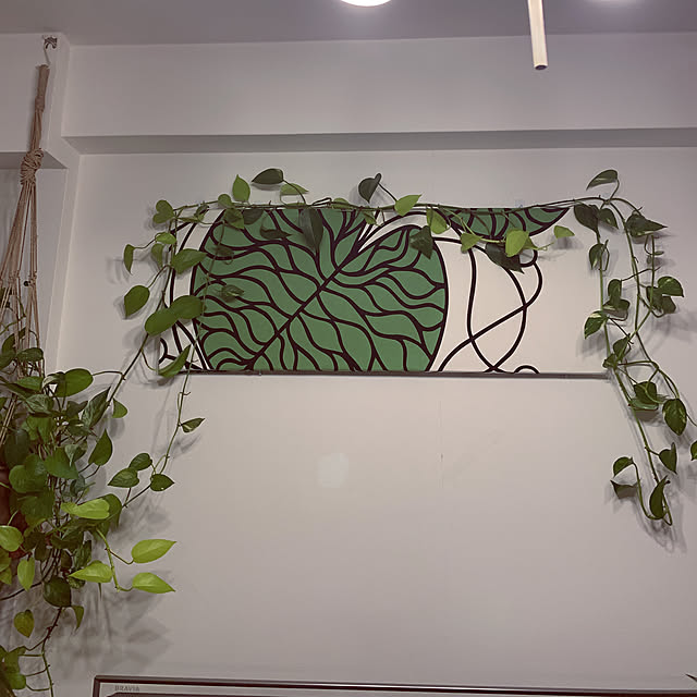 観葉植物/壁/天井のインテリア実例 - 2019-03-19 23:46:40