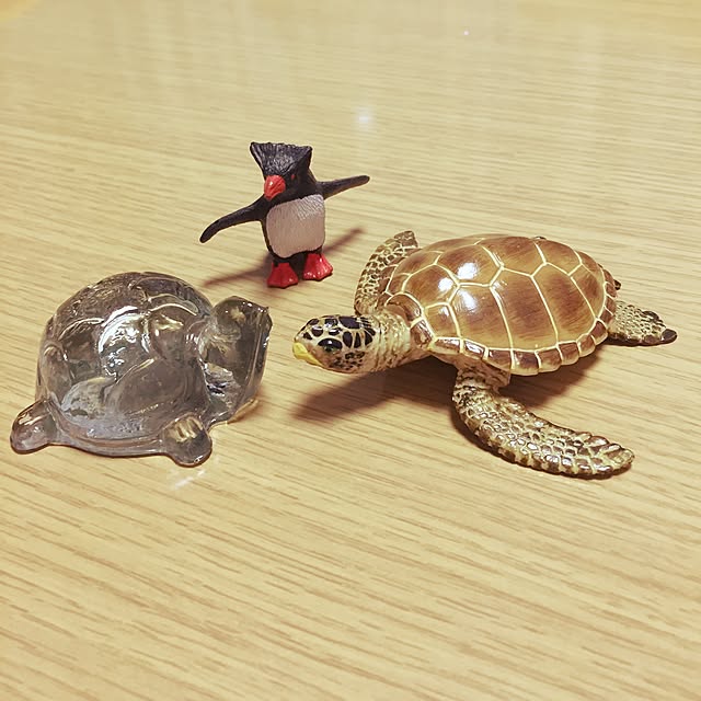 takakoさんの実例写真