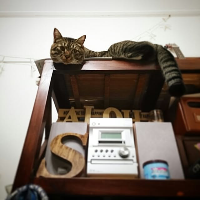 Lukiさんの実例写真