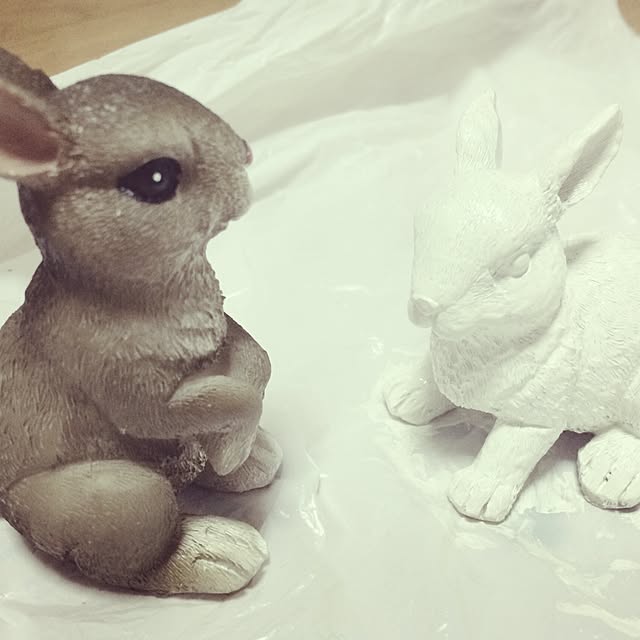 siousagiさんの実例写真