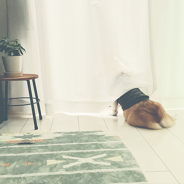 kororoさんの実例写真