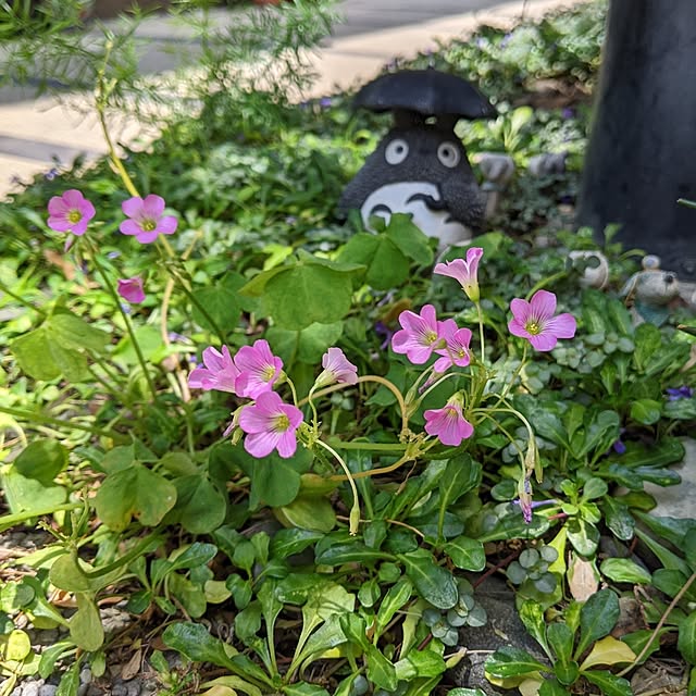 wumag418さんの実例写真