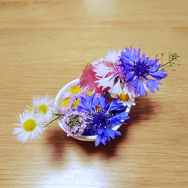 aco_zgさんの実例写真