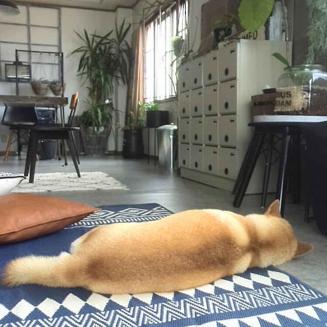 kさんの実例写真