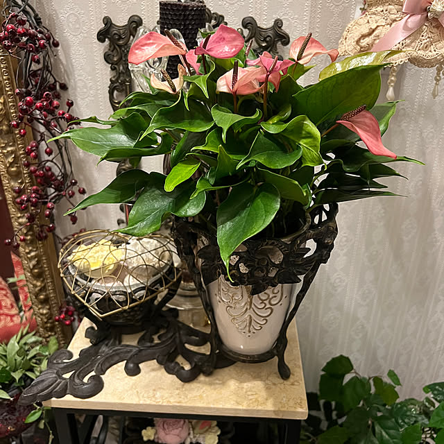 AYUKOさんの部屋