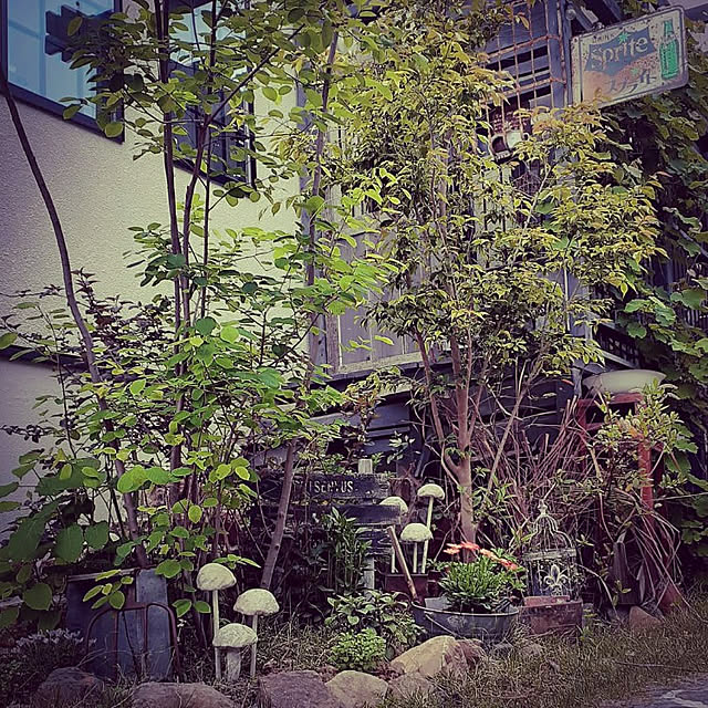hinatoaさんの実例写真