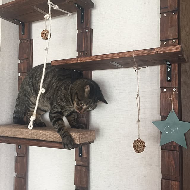 mayuさんの実例写真