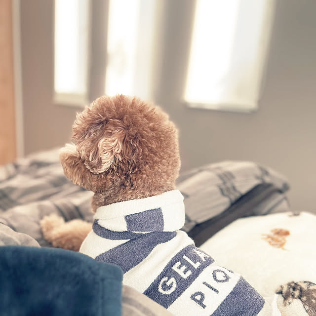 nanさんの実例写真