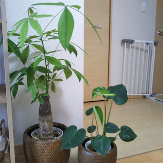 sayuri.t0418さんの実例写真