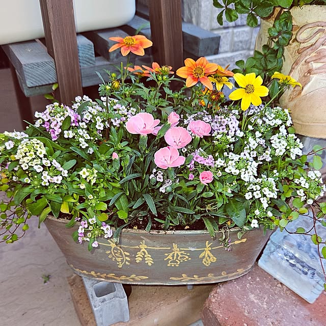 mocomocoさんの部屋