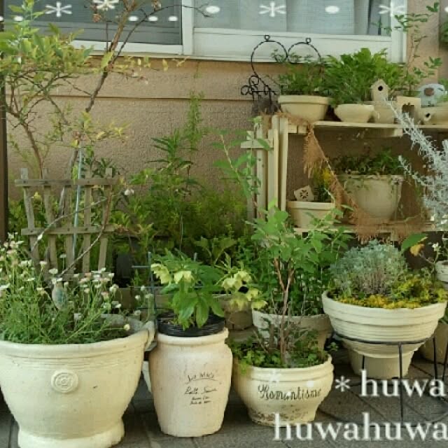 huwahuwa.mokumokuさんの実例写真