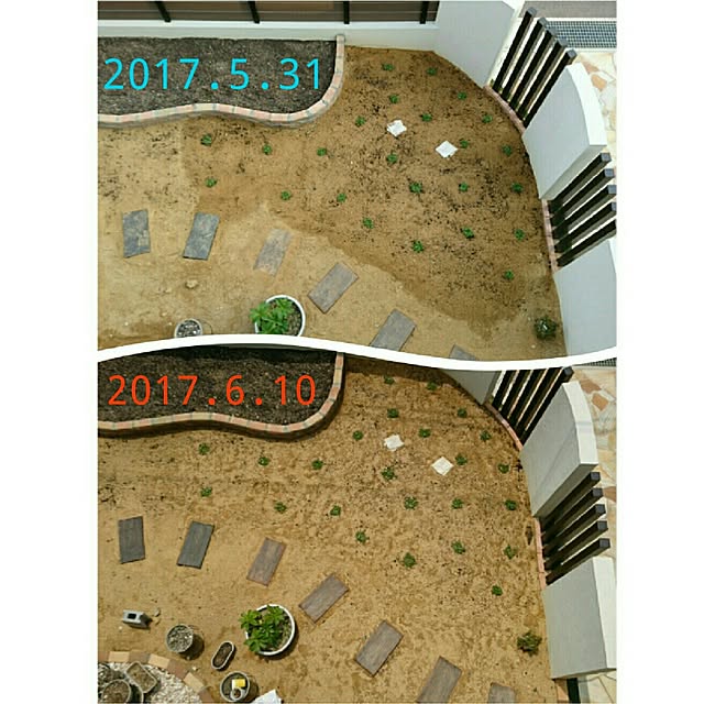 comiさんの実例写真