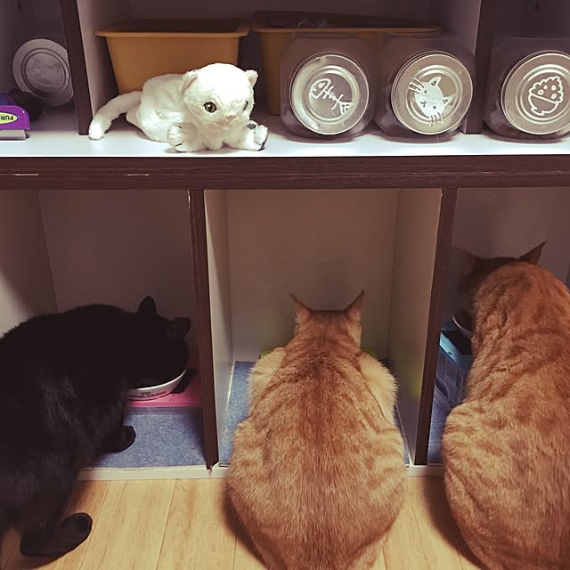 kotetuさんの実例写真