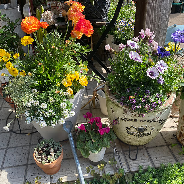 kiyoさんの部屋