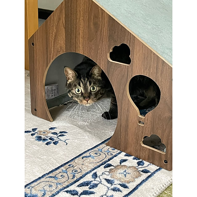 momocchiさんの部屋