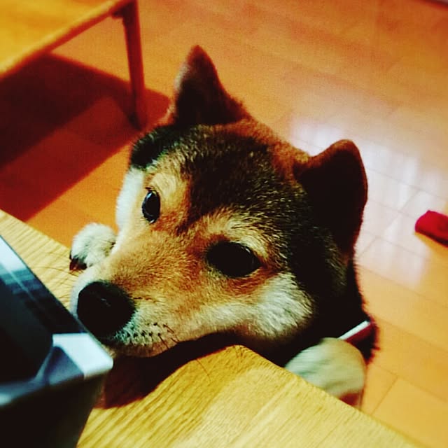 Machiさんの実例写真