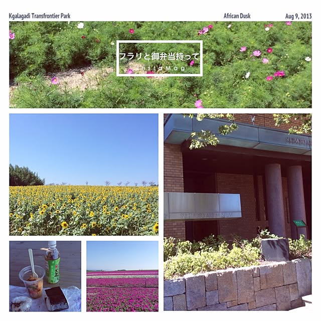 20rose_mamiさんの実例写真