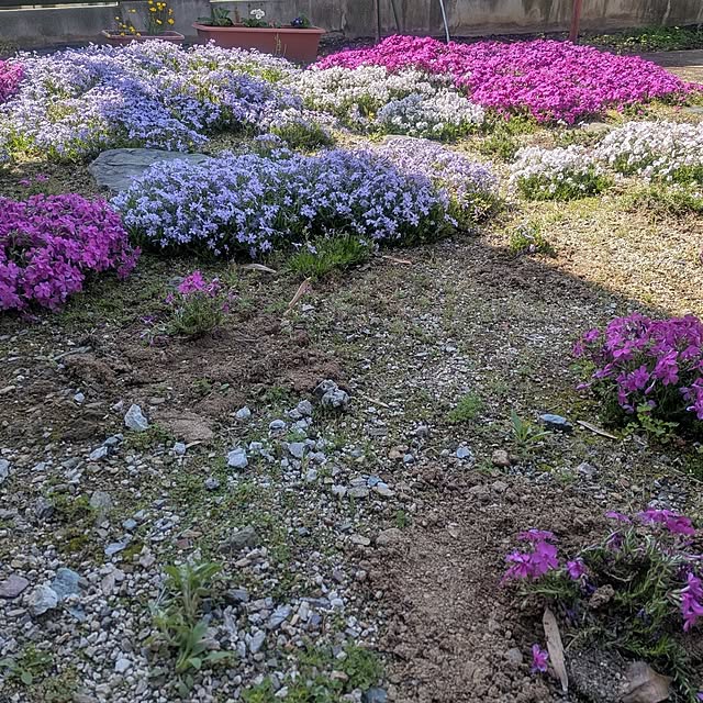 kuririnmamaさんの実例写真