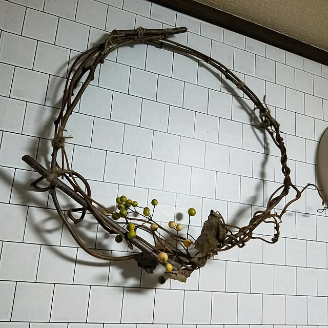 opiopiopiさんの実例写真