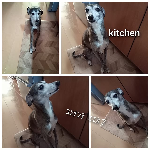 moruさんの部屋