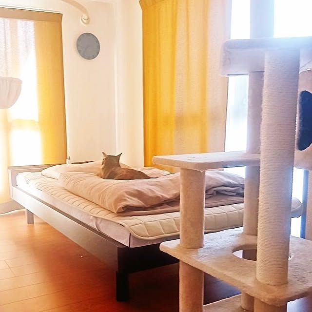 hirukumaさんの実例写真
