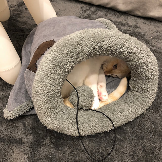 toufuさんの実例写真