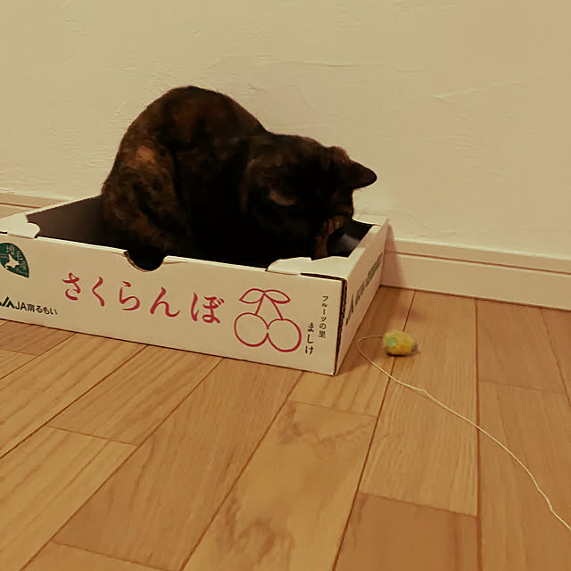 wahahaさんの部屋