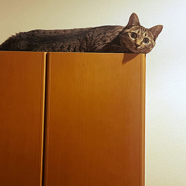 vol.3730写真