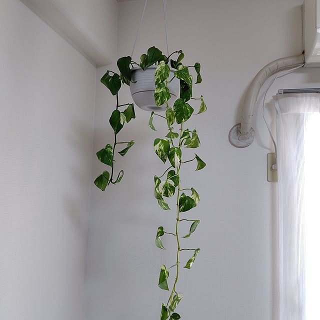 akichiさんの部屋