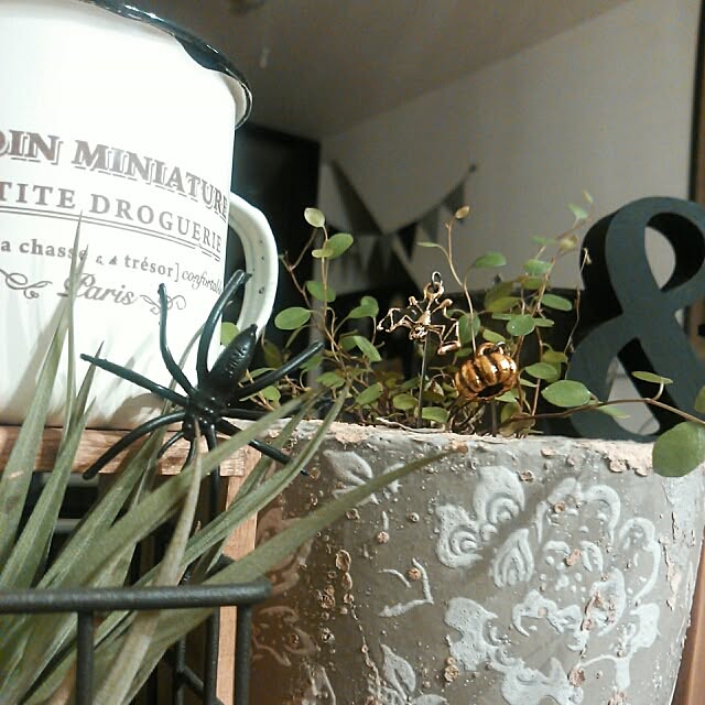 mudflapさんの実例写真