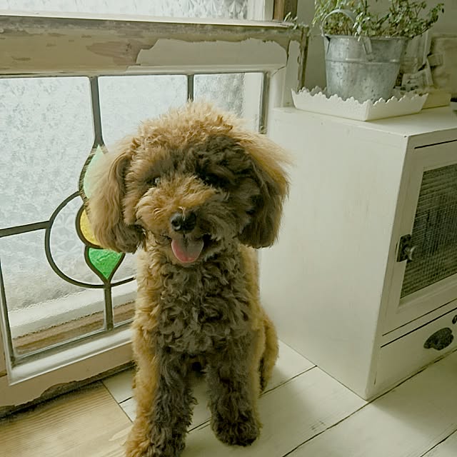 mieさんの実例写真