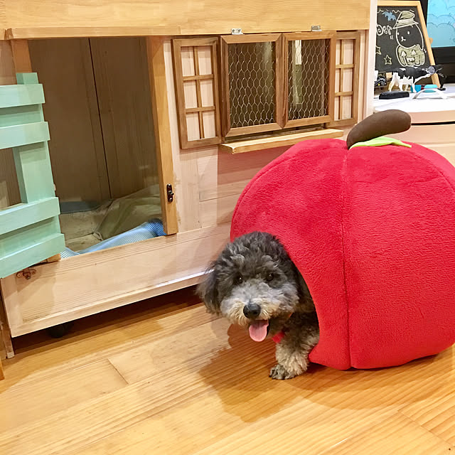 makoriさんの実例写真