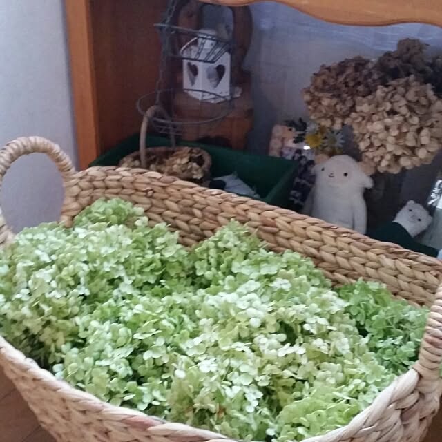 hitomiさんの実例写真