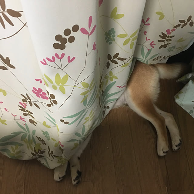 luckyさんの実例写真