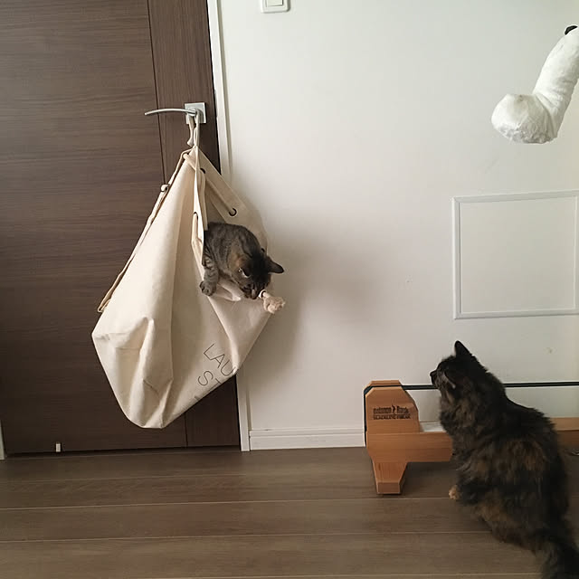 mikomaruさんの実例写真