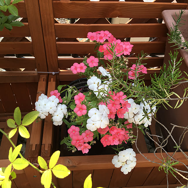 smilelifeさんの実例写真