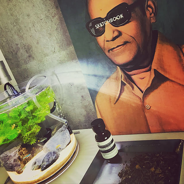 IBさんの実例写真