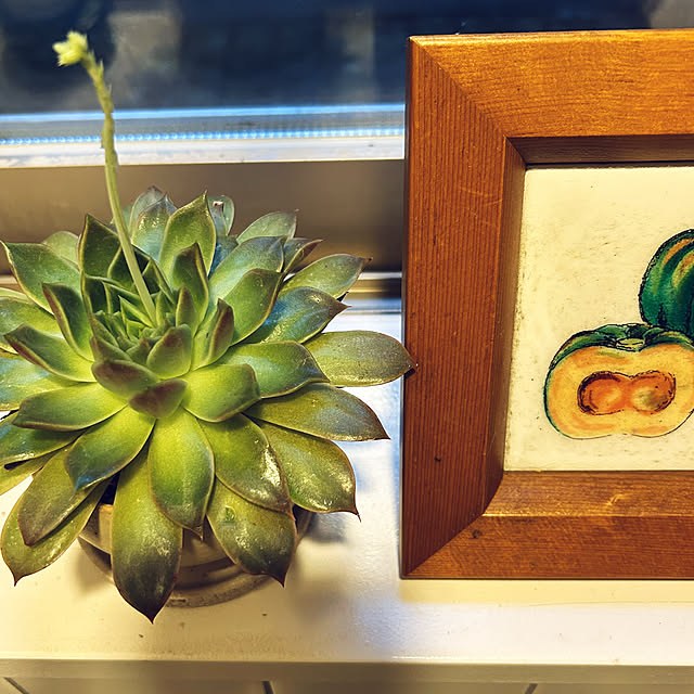 happy-sachiさんの実例写真