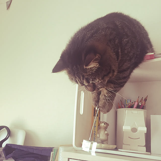 nocomomさんの実例写真