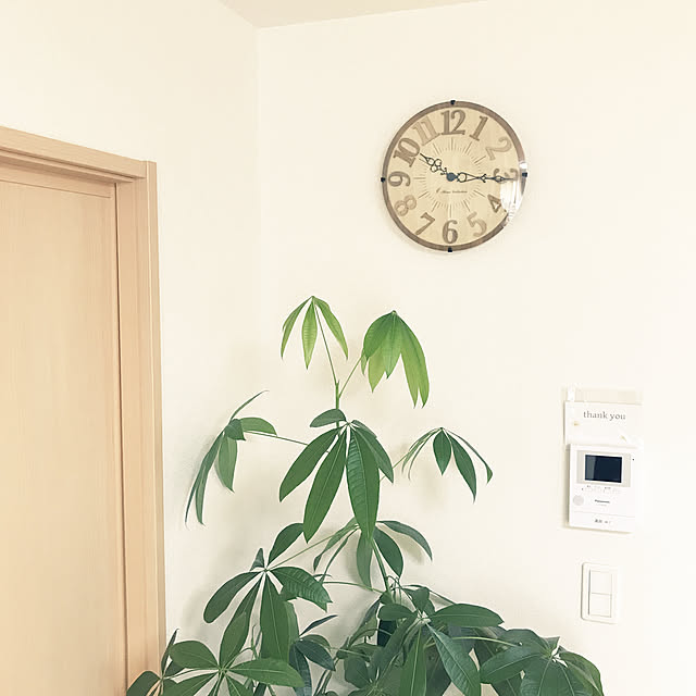 rimeiさんの実例写真