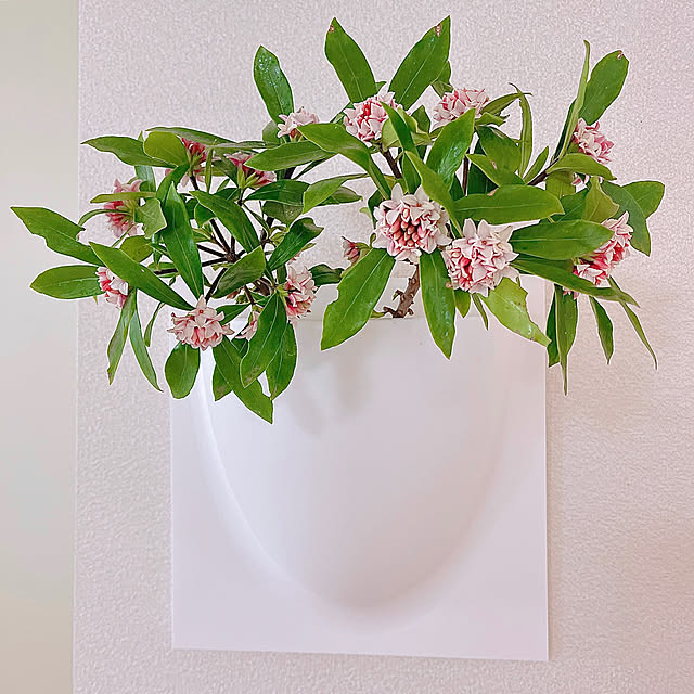 mikiさんの部屋