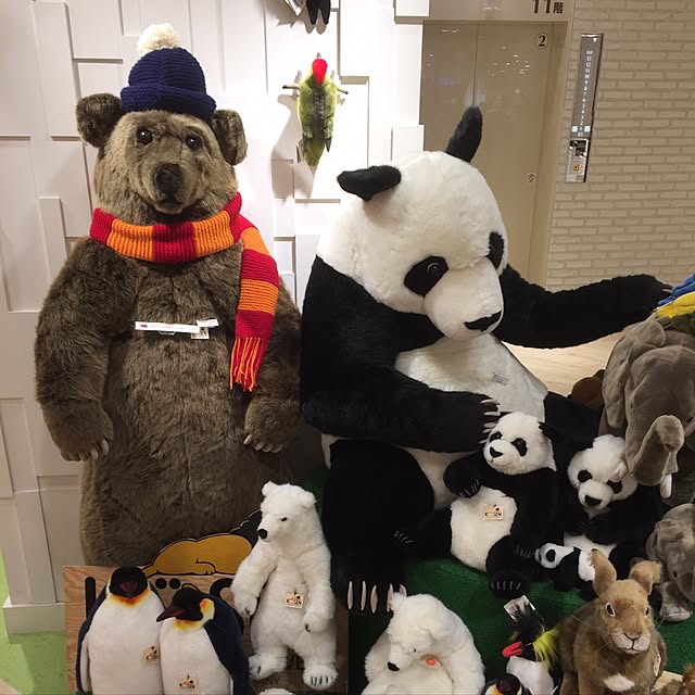 実例写真
