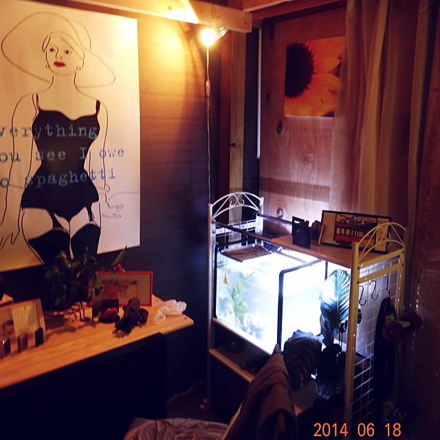 実例写真