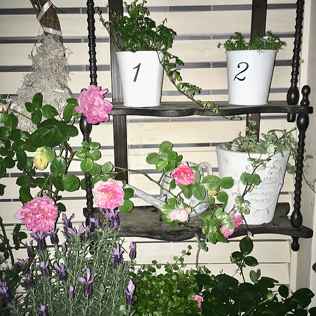 ka-cloverさんの実例写真