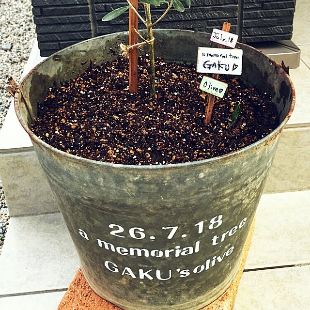 Yukieさんの実例写真