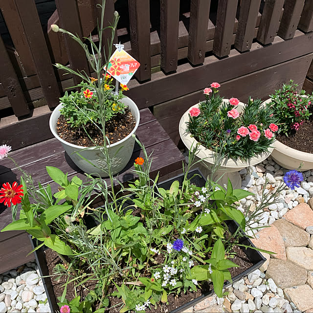 ROSEさんの実例写真