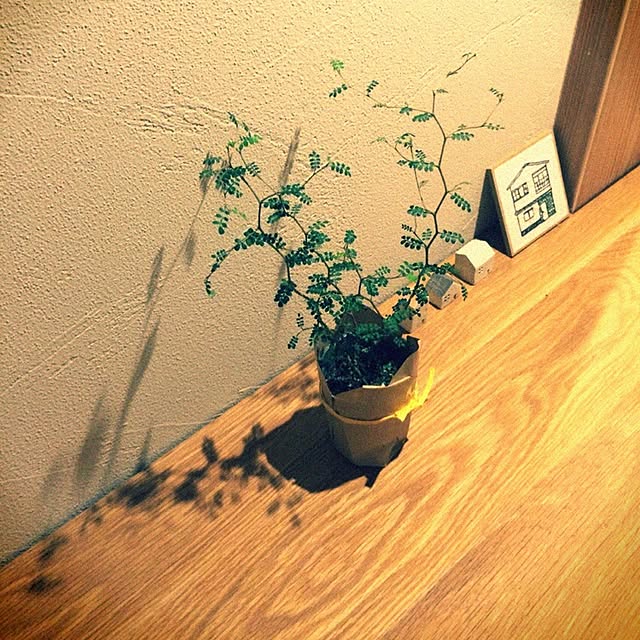cavsan.mandolinさんの実例写真