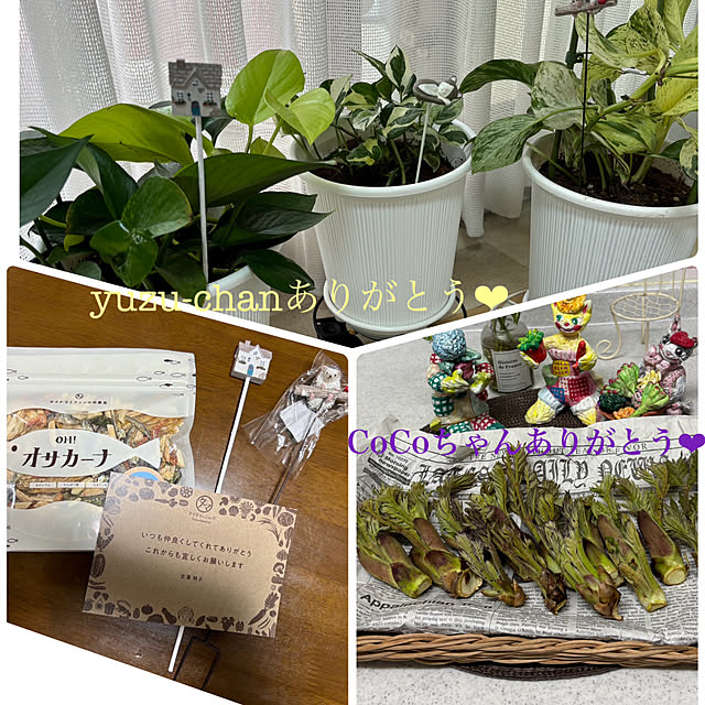 Chhhiさんの部屋