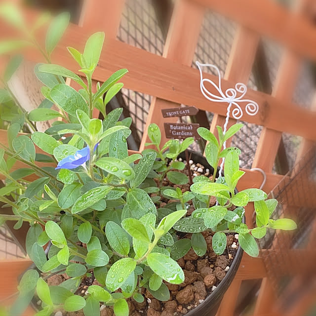 rikoさんの実例写真